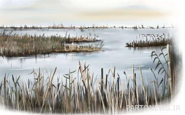 Introducing 5 new short animations of the expansion center