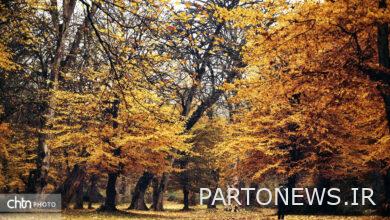 تعتبر جولستان وجهة سياحية خريفية جذابة في إيران