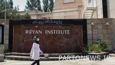 Dawood Bidel is making a series about "Royan"/ the script is ready - Mehr News Agency |  Iran and world's news