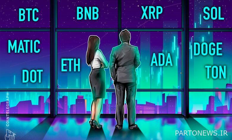 BTC، ETH، BNB، XRP، SOL، ADA، DOGE، TON، DOT، MATIC