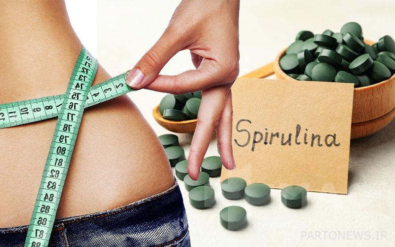 Spirulina to melt the stomach