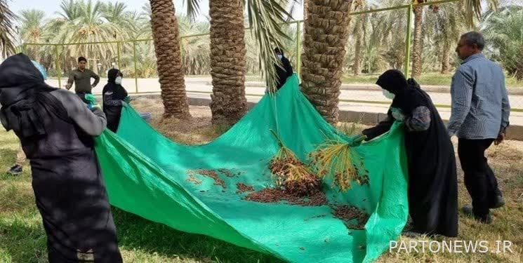 Tabas date harvest festival was registered in the country's tourism events calendar