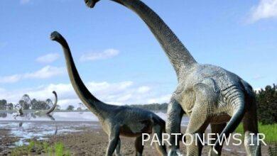 آیا واقعا نفت از دایناسورها به وجود آمده‌است؟