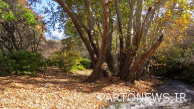 وكالة أنباء آريا التراثية - بيزى سراب جيان نهاوند