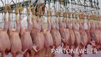 گوشت چرخ کرده مرغ کیلویی ۱۴۰ هزار تومان شد + جدول