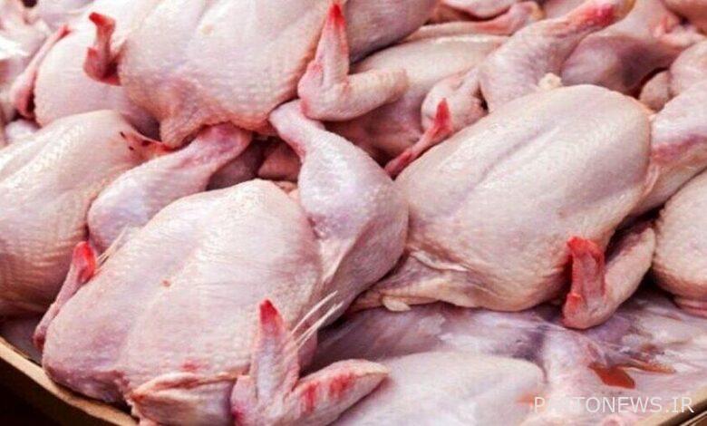 ۰.۵ کیلوگرم گوشت مرغ در بازار چقدر شد؟ + جدول