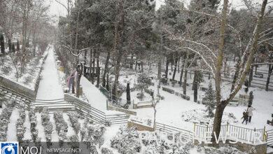 وستهطل الثلوج على طهران مع انخفاض في درجات الحرارة بمقدار 12 درجة