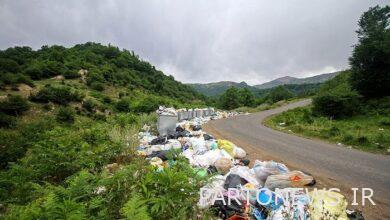 Garbage depot, the bane of Hyrkani forests/ will the government solve the problem in 4 years?