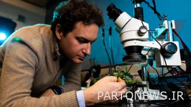 کشف اسرار مواد طبیعی | اخبار MIT