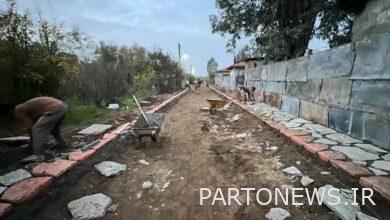 Planting of 1,500 saplings in the roads of Ashurade Island in Golestan province