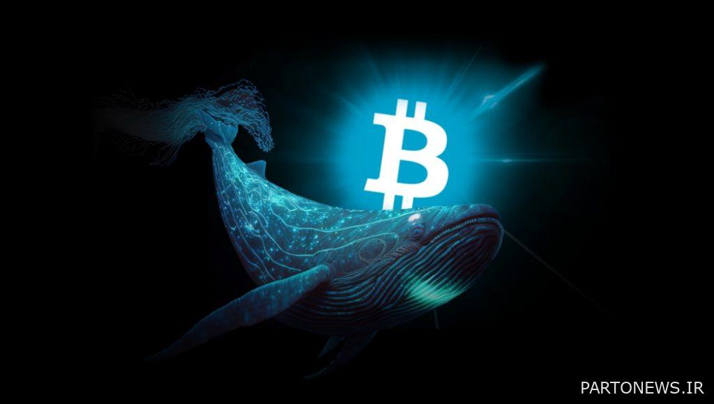 What was the reason for the fall of Bitcoin? What was the reason for the fall of Bitcoin?