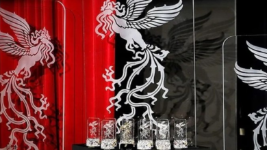 22 tips from 22 Sodai Simorgh films;  Know the "best" of Fajr 42