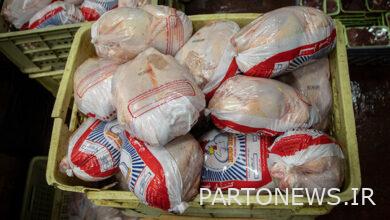  خبر فوری / مرغ شب عید نوسان قیمت نخواهد داشت