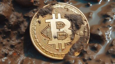 Coinbase Commerce پشتیبانی از پرداخت های بیت کوین را با استفاده از کیف پول های خود حضانت قطع می کند