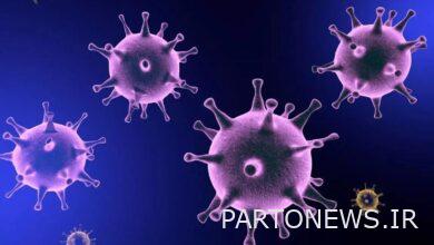 ماجرای ویروس X / بیماری مرگبارتر از کرونا در راه است؟