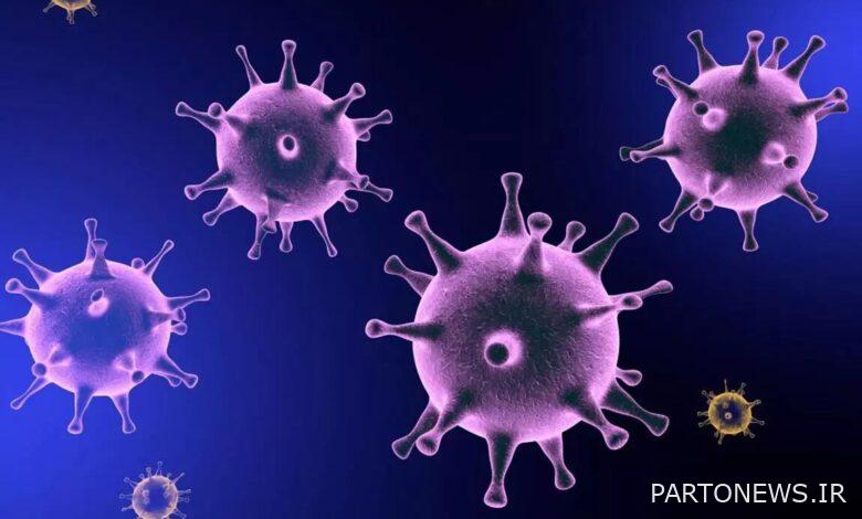 ماجرای ویروس X / بیماری مرگبارتر از کرونا در راه است؟