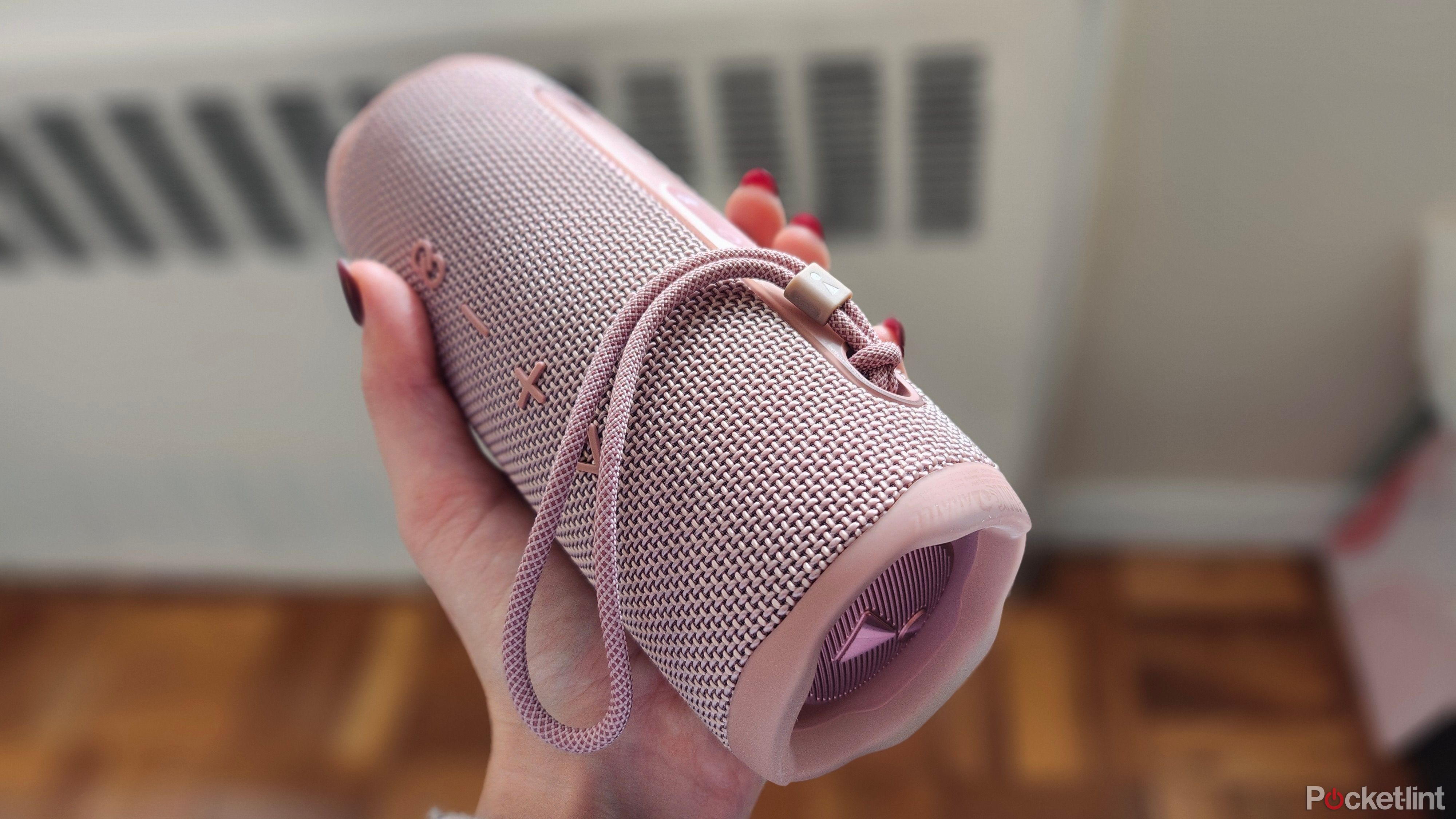 JBL Flip 6