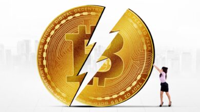 آوریل 2024، نصف شدن بیت کوین، کنجکاوی جهانی را برانگیخت، داده ها نشان می دهد