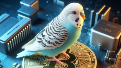 Ordinals Market رکورد فروش را ثبت می کند: بیت کوین Budgie دست به دست می شود بیش از 1.1 میلیون دلار در BTC
