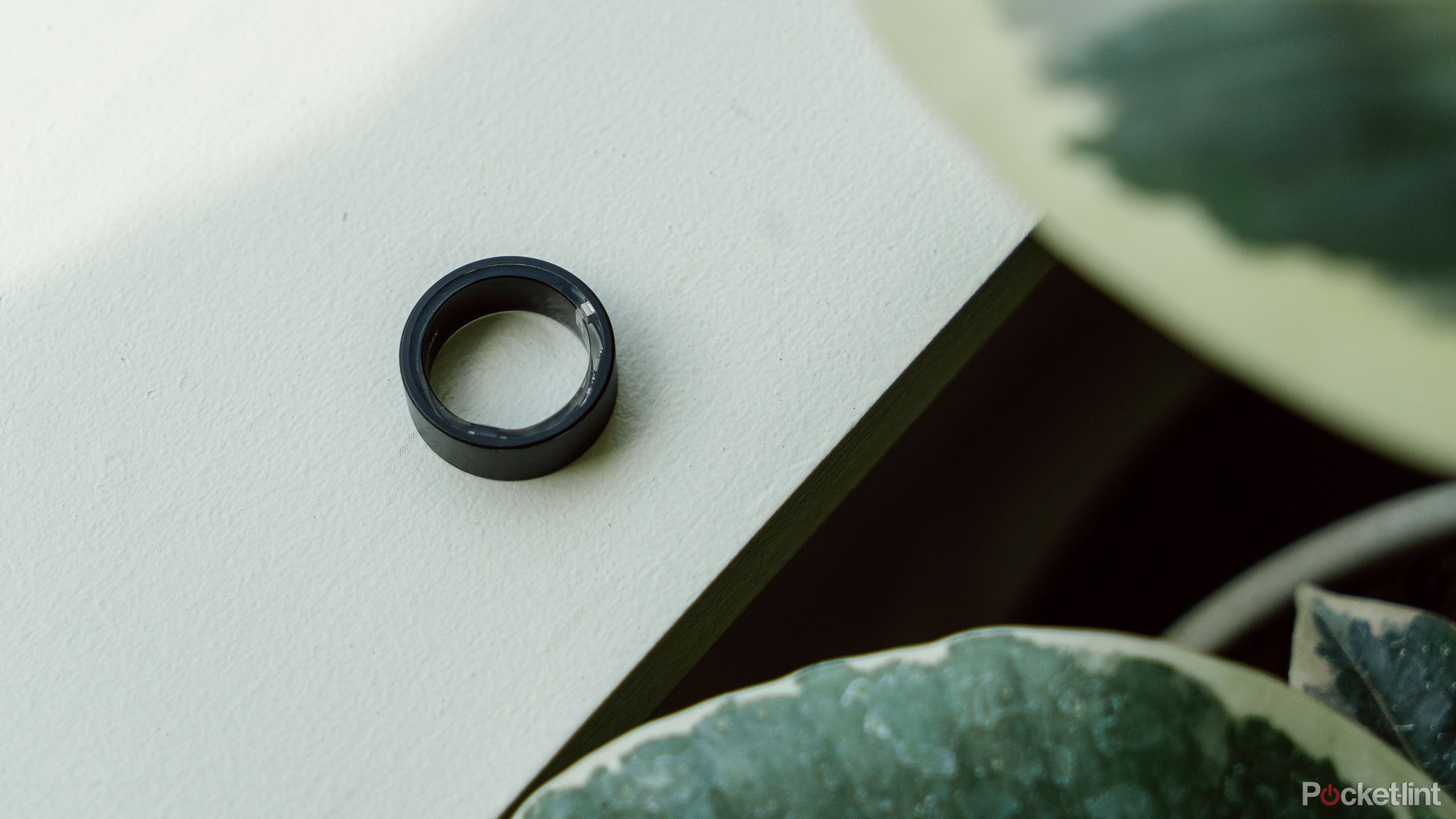 Ultrahuman Ring Air روی طاقچه ای در کنار یک گیاه قرار دارد.