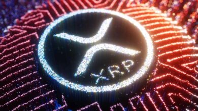 مدیر عامل Ripple انتظار دارد SEC سال آینده ETF Spot XRP را تأیید کند