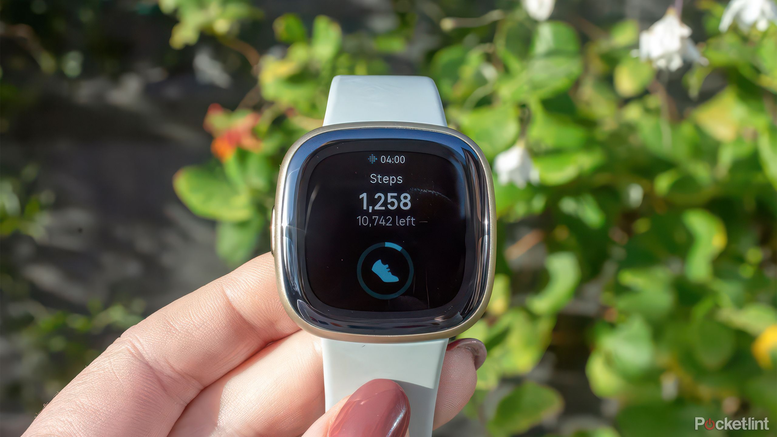 یک دست Fitbit Sense 2 را در مقابل بوته های تار نگه می دارد. 