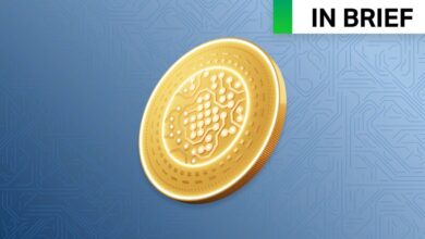in brief, cryptocurrency, crypto, gold