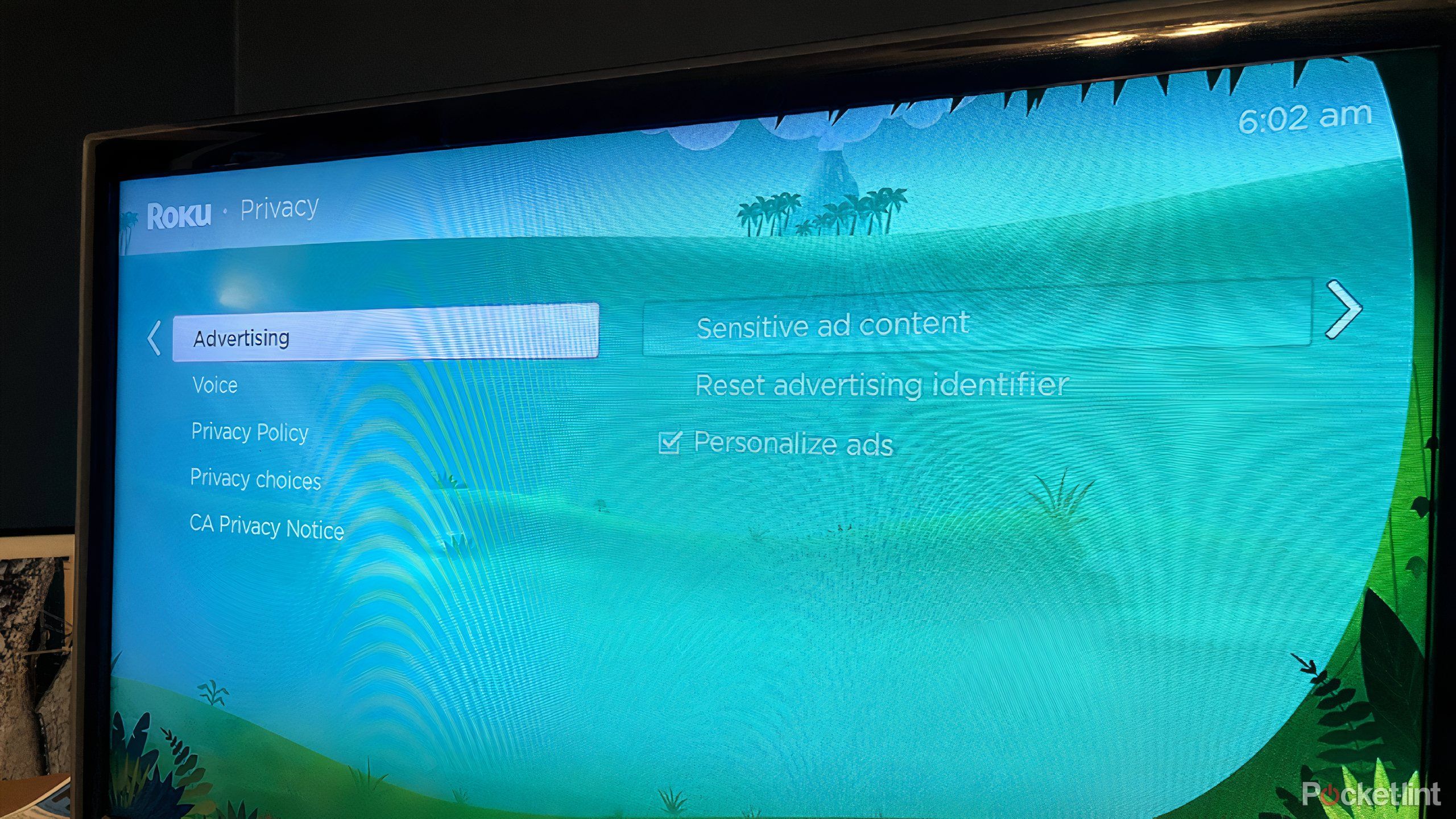 منوی تنظیمات roku با محتوای تبلیغاتی حساس