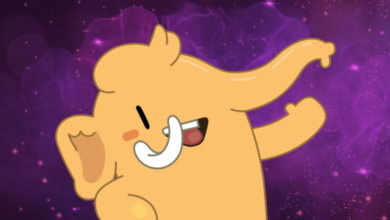 هدف Sub.club تامین مالی فدیورس از طریق فیدهای ممتاز است