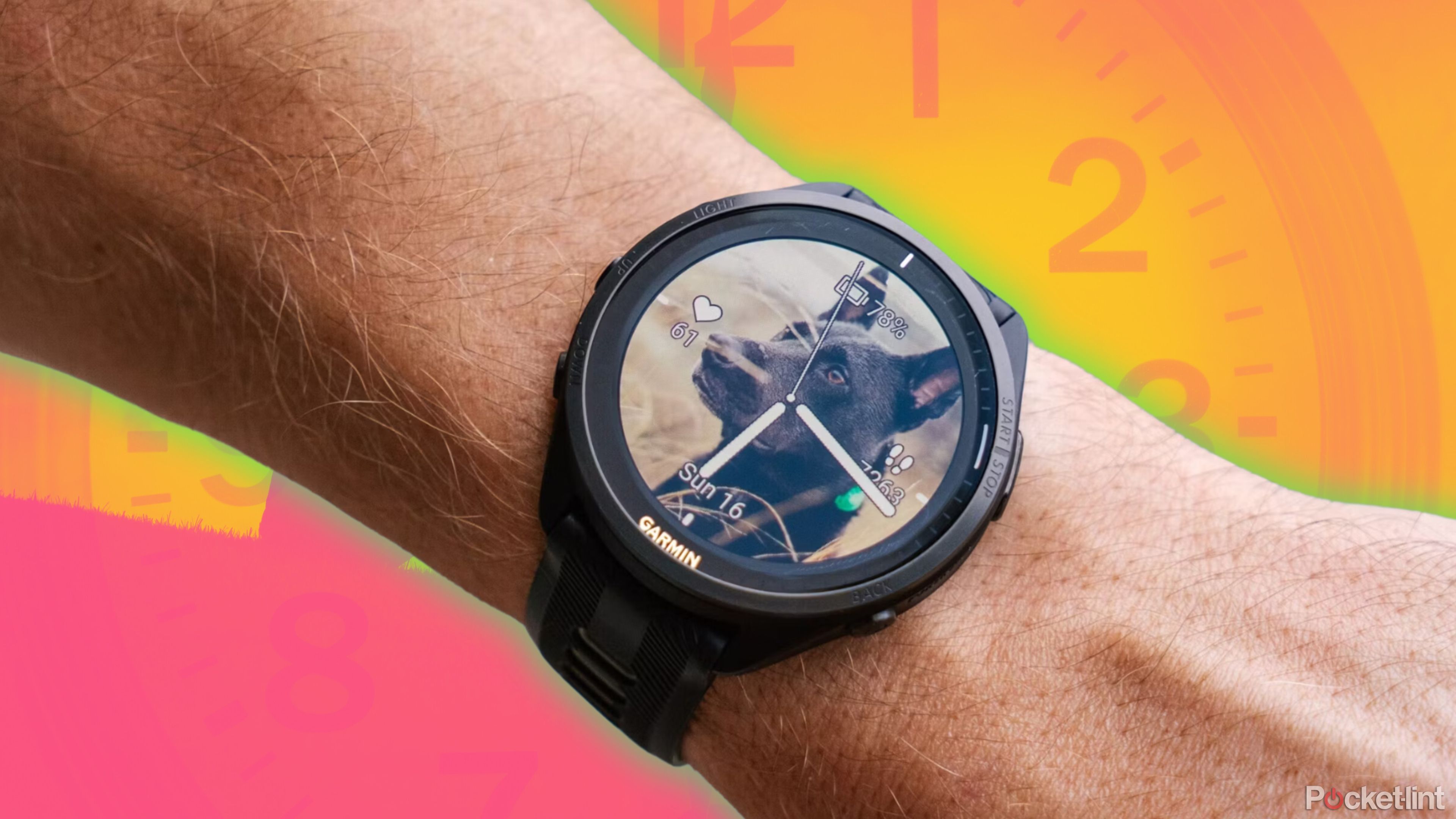 Garmin Forerunner 965 روی مچ دست با صفحه ساعت سگ. 