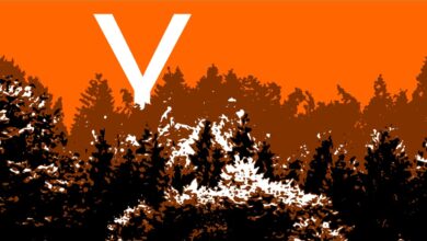 Y Combinator logo in a forest