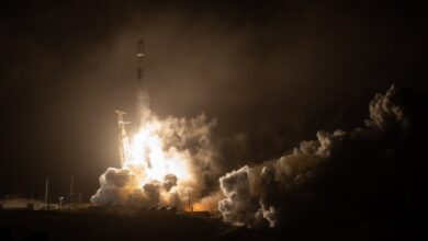 The SpaceX Falcon 9 rocket launches with the Double Asteroid Redirection Test, or DART, spacecraft onboard.