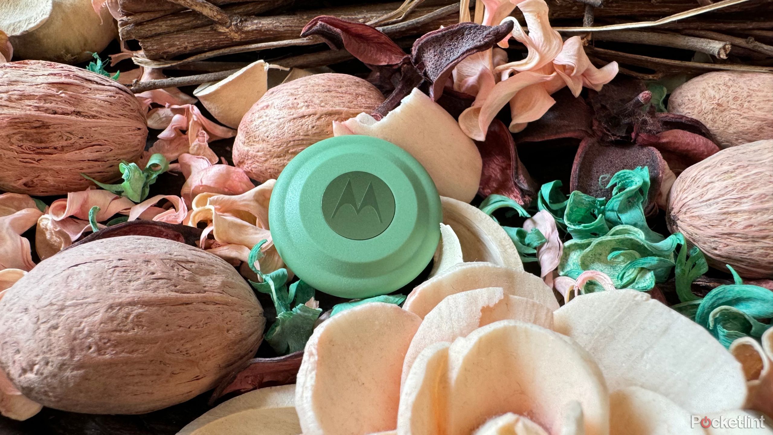 Moto Tag Beauty Shot. 