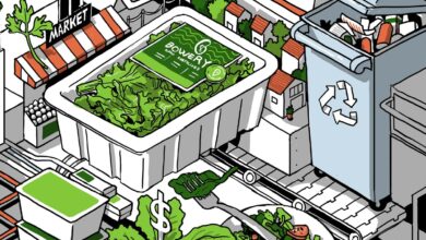 Bowery Farming, startups, venture capital