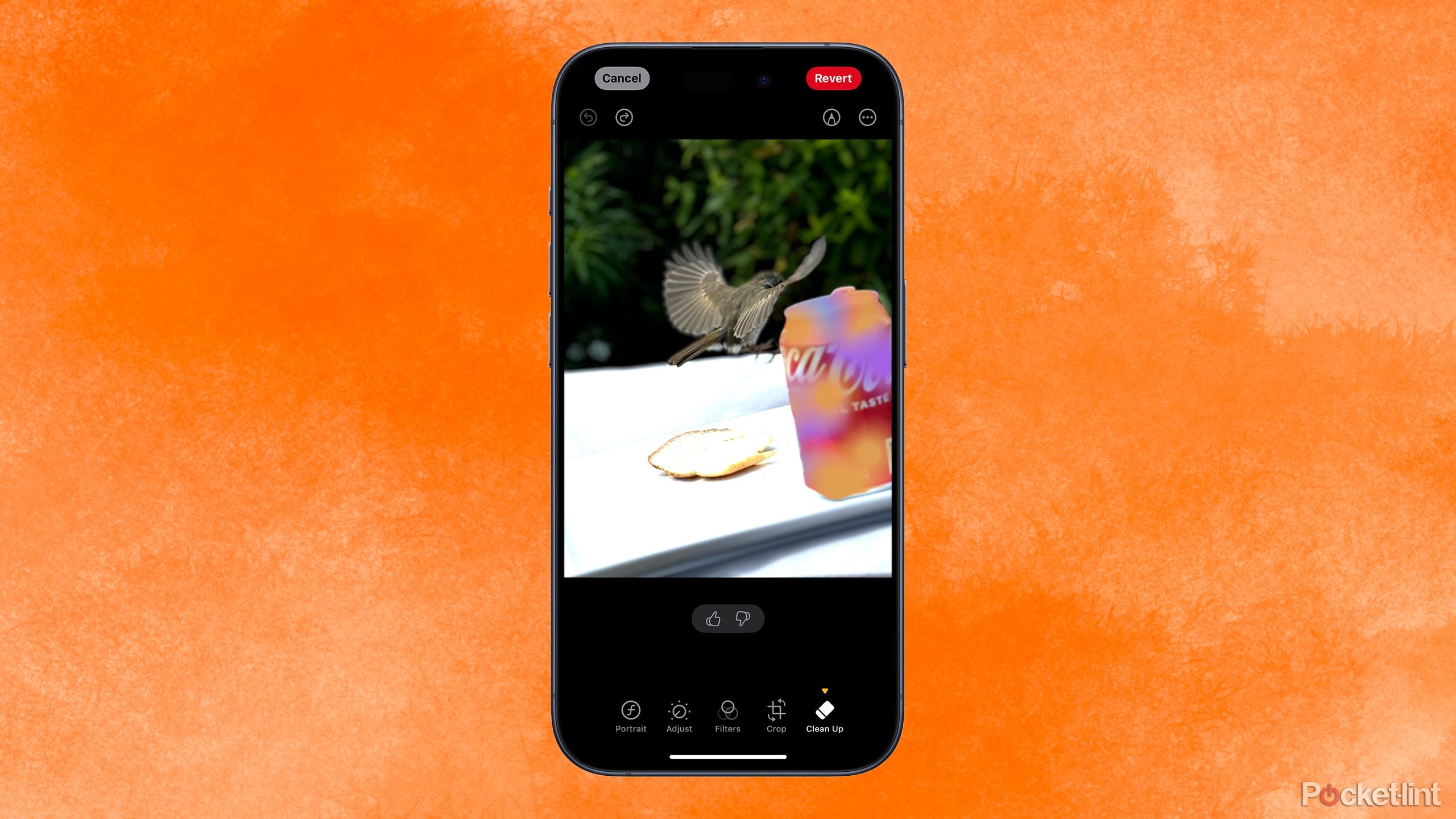 حذف شی با استفاده از ابزار Clean Up در iOS 18 در پس زمینه رنگی