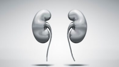 metal kidneys