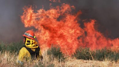 A firefighter watches a prescribed burn as the Max Fire burns in Lancaster, California, June 16, 2024.