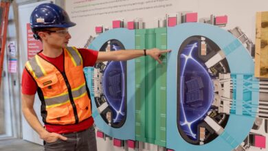 Alex Creely, director of Tokamak operations at Commonwealth Fusion Systems, points to a reactor schematic.