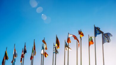 European Union flags against blue sky