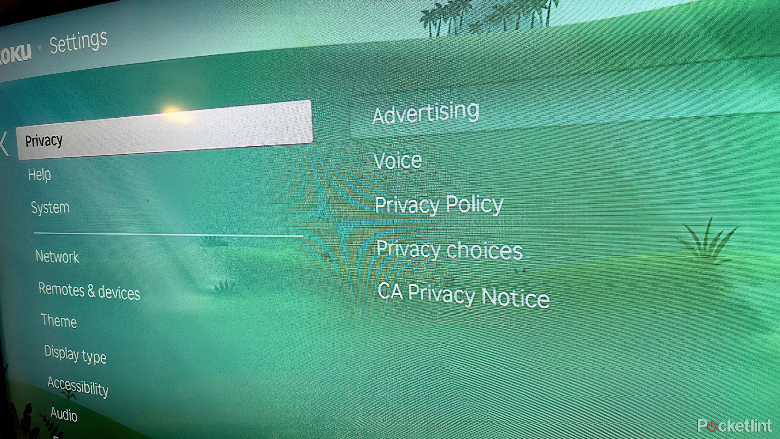 تنظیمات حریم خصوصی roku