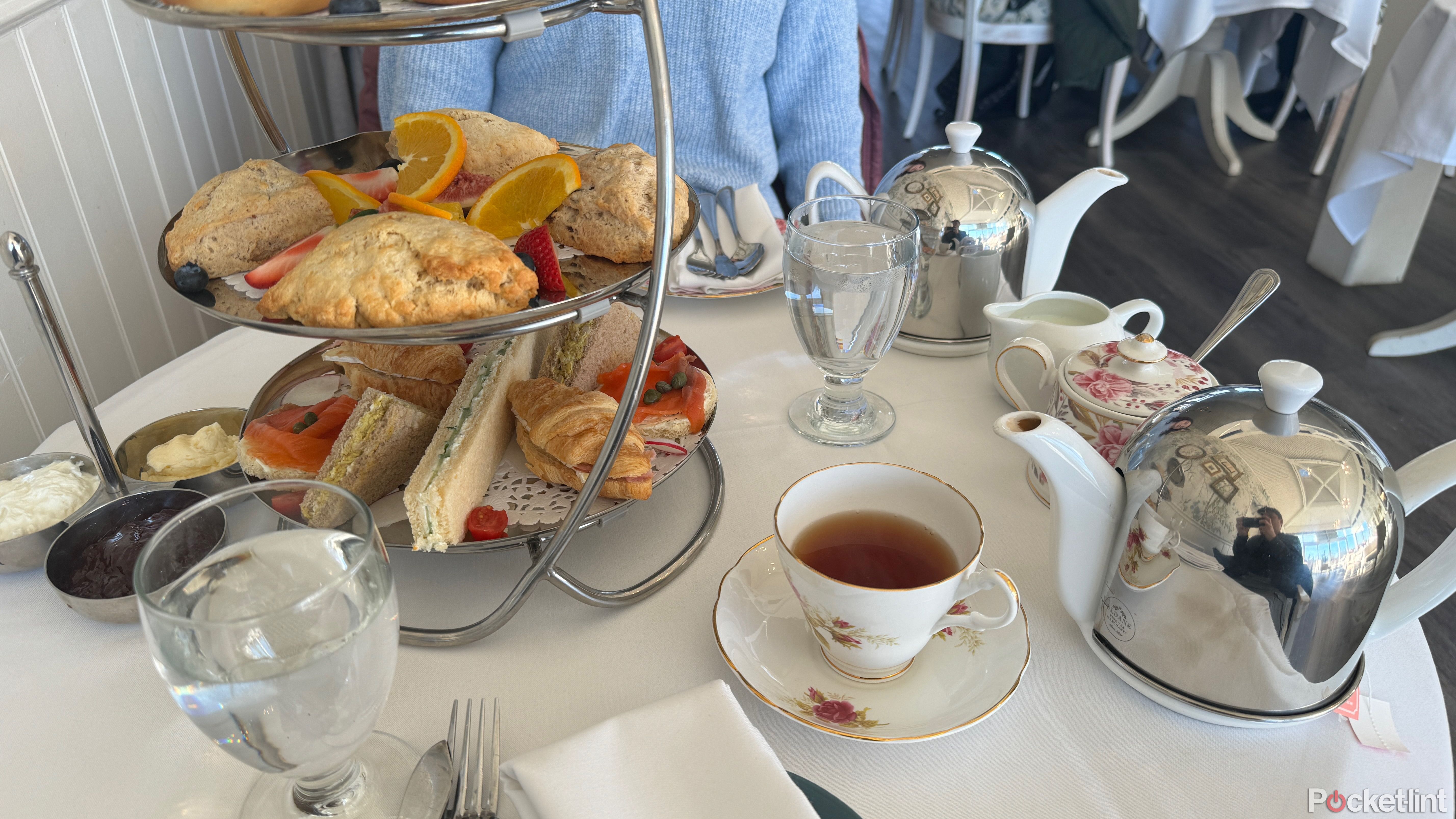 باغ گیاه شناسی سلطنتی