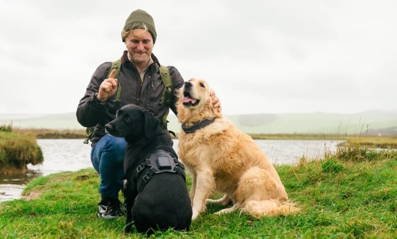 man crouching next to dogs