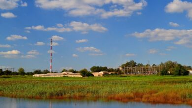 دادگاه آفریقای جنوبی وثیقه ای را برای مرد متهم به ارسال بیت کوین به تروریست ها تعیین می کند