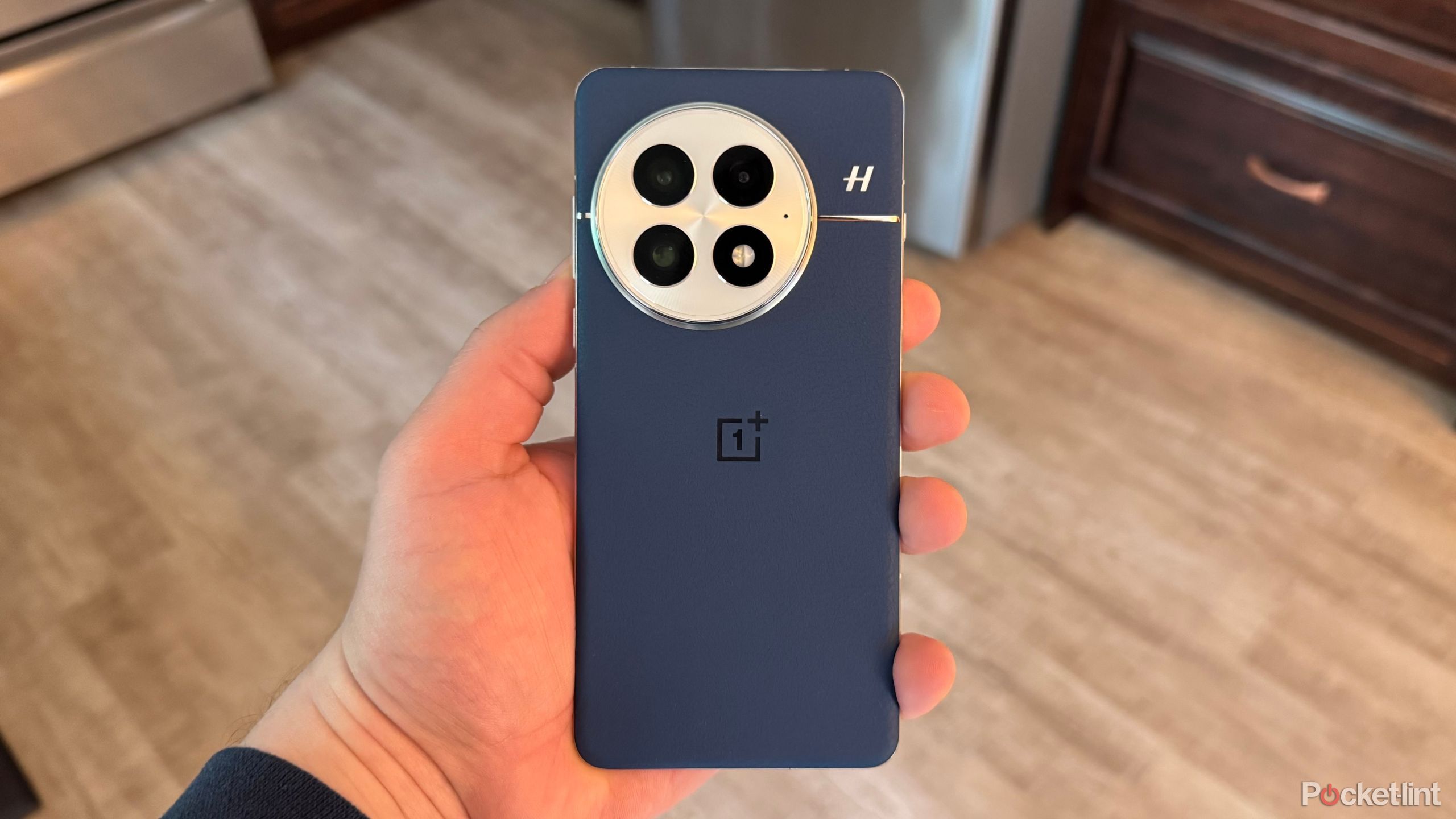 شخصی که OnePlus 13 را در دست دارد.