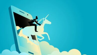 Man riding a unicorn