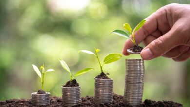 Image of small plants growing on top of four stacks of coins.