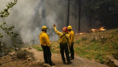 Firefighters with Roseburg Engine 11 out of Eugene, Oregon survey a property under threat of fire along Pine Flat Road during the CZU Lightning Complex fire in Santa Cruz County, California, U.S., on Thursday, Aug. 20, 2020.