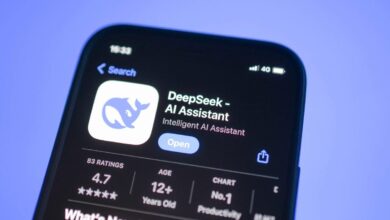 DeepSeek app displayed on a mobile screen.