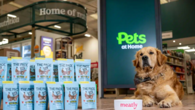 Meatly promo shot for The Pack's Chick Bites, a dog treat that contained its cultivated chicken