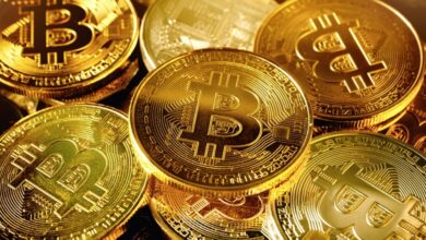 آرتور هیز در مورد سقوط بیت کوین هشدار می دهد اگر ایالات متحده ذخیره استراتژیک BTC را ایجاد کند